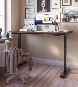 best standing desk for life