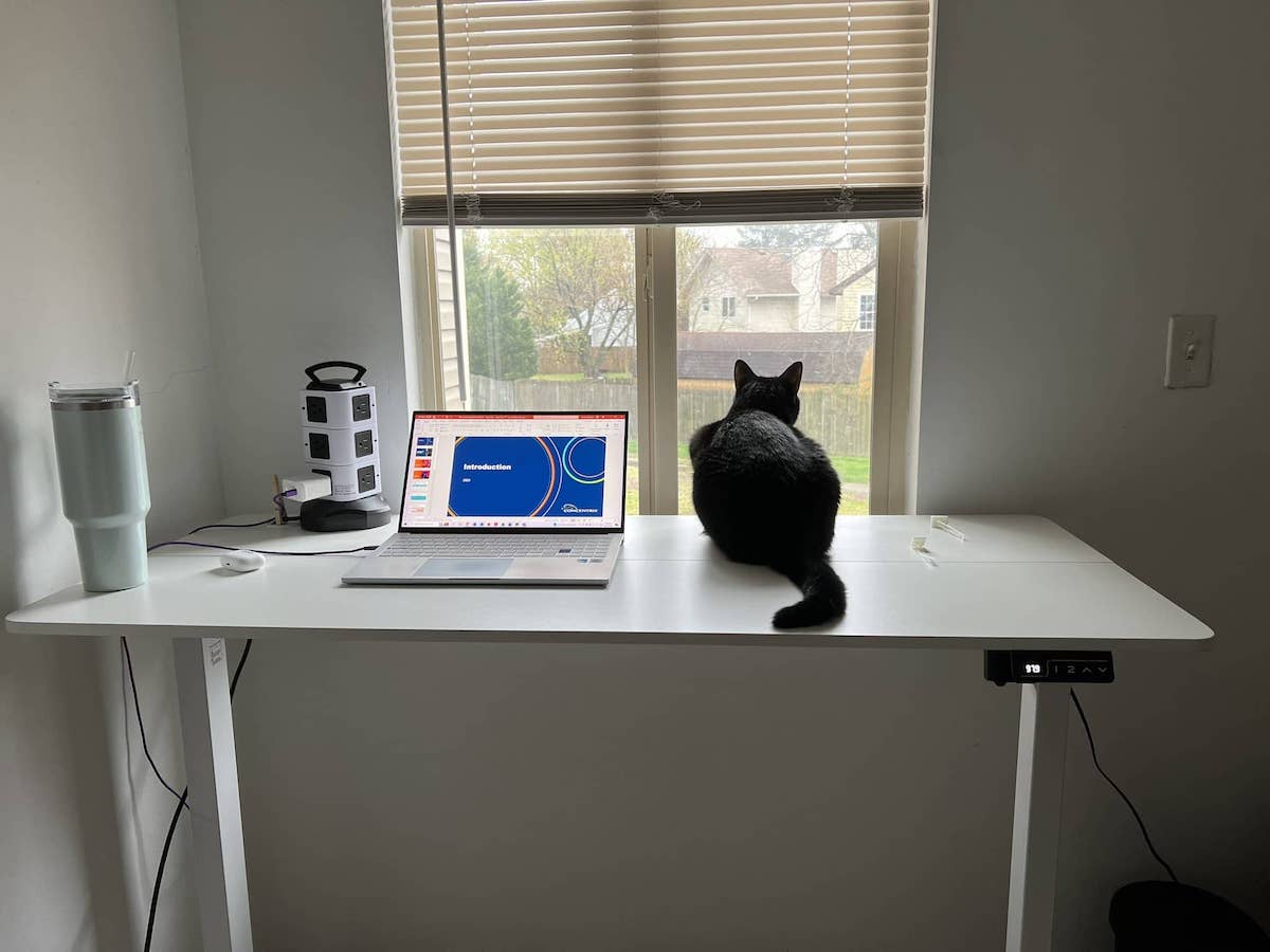 shw standing desk