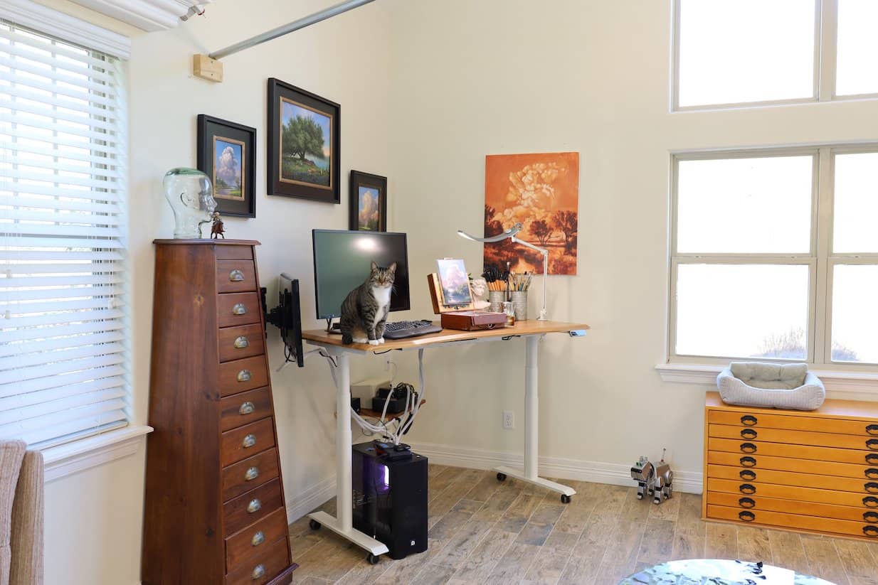 a budget standing desk with cat