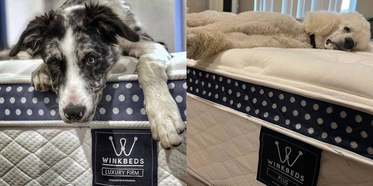 Winkbeds plus mattress